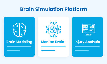 brain (3)