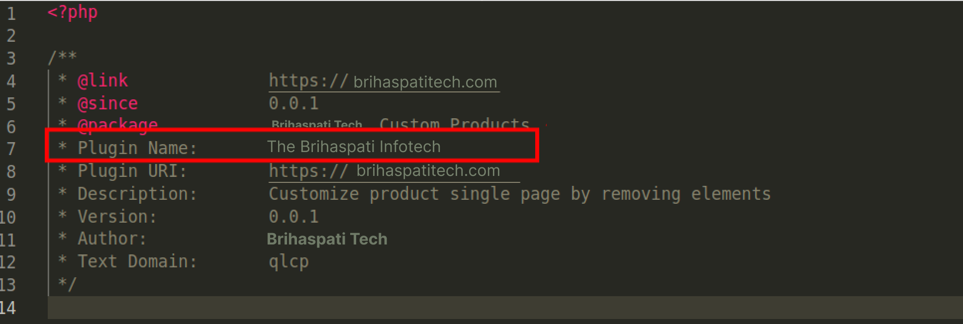Create the Main Plugin File