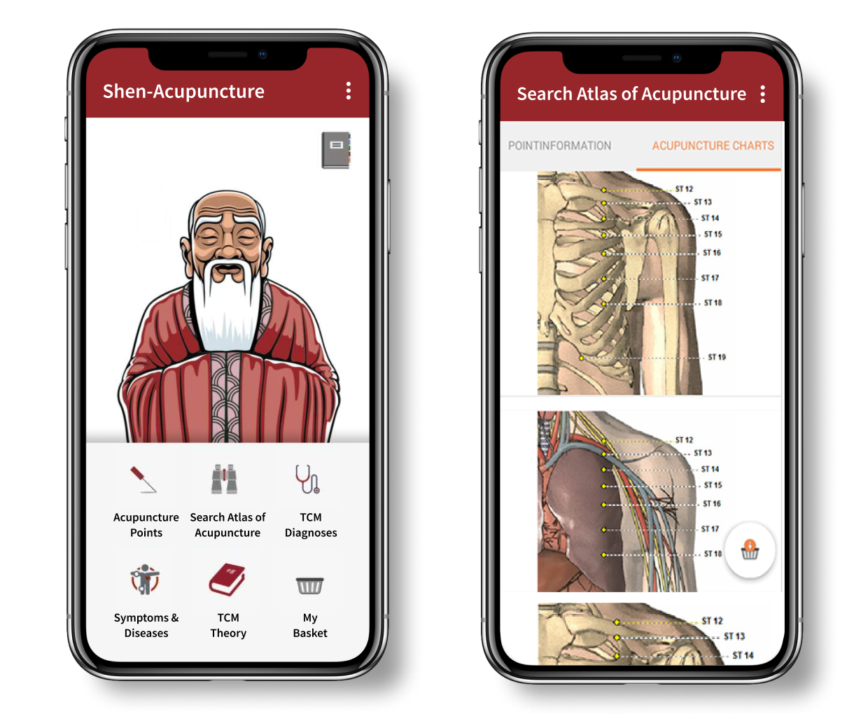 Shen-Acupuncture Image