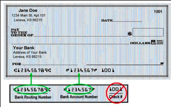 e-cheque