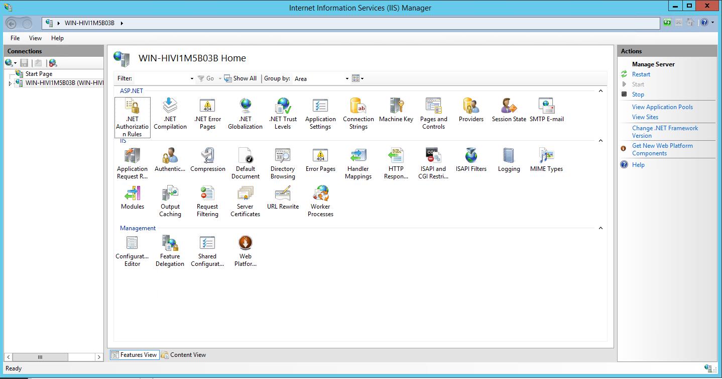 IIS 2008 interface