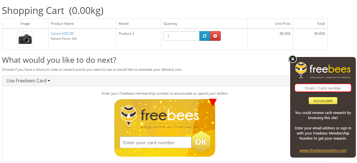 Shopify Cart Page Customization