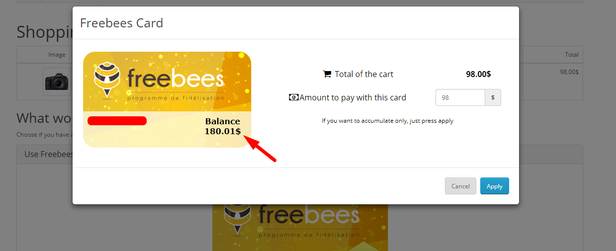 Shopify Loyalty App