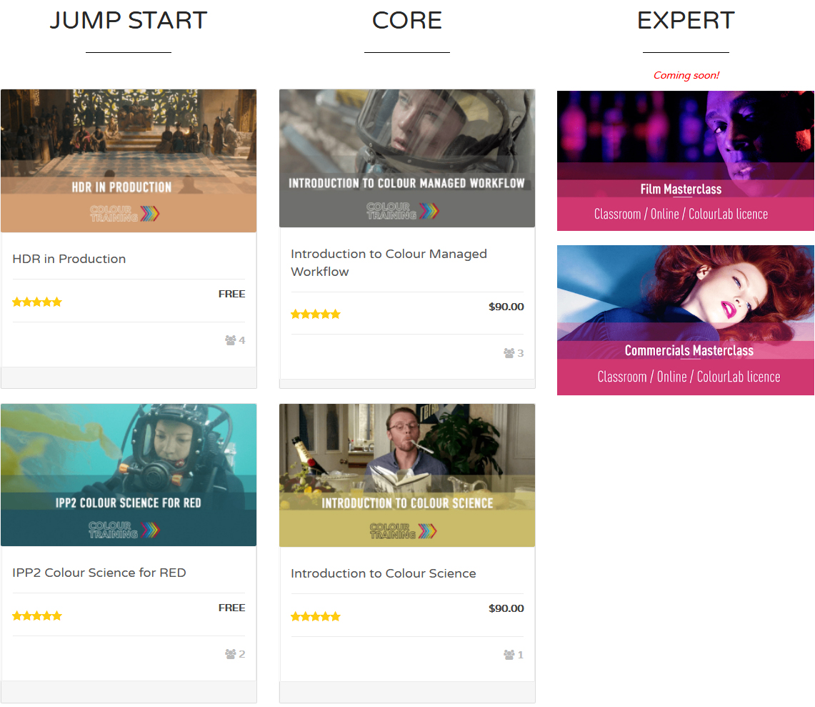 1. Online Training